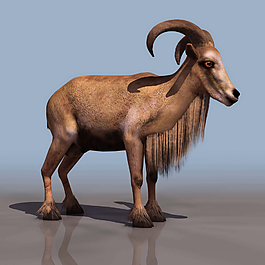 ARRUI山羊3d模型圖片