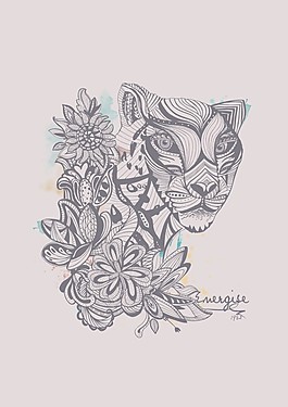 虎
