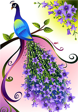 孔雀花