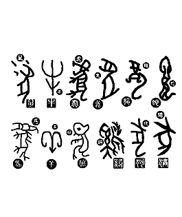 十二生肖圖片