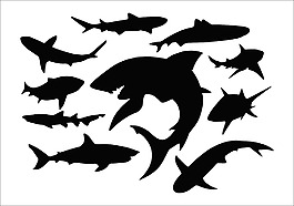 鯊魚設(shè)計圖