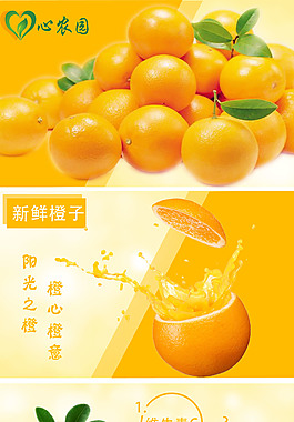 水果橙子淘宝设计