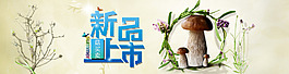 蘑菇海報(bào)