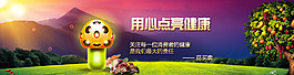 蘑菇海報(bào)