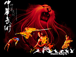 中花武術(shù)