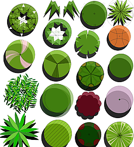 植物素材圖片
