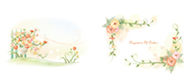 韓國抽象菊花邊圖片