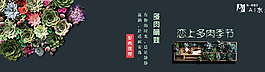 多肉banner圖片