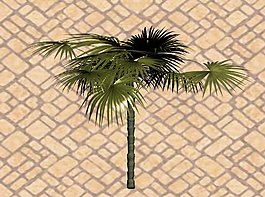 熱帶植物3D模型圖片