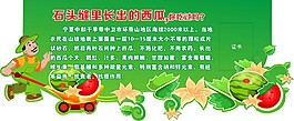西瓜展板