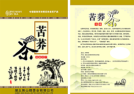 苦荞茶图片
