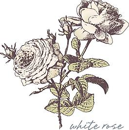 復古鮮花