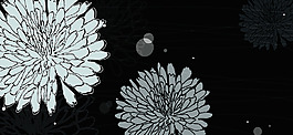 菊花背景圖片