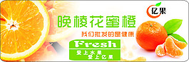 橙子標簽