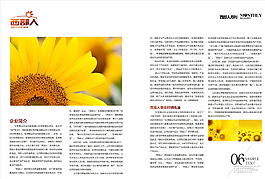 画册内页版式图片