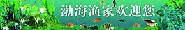 水族海景