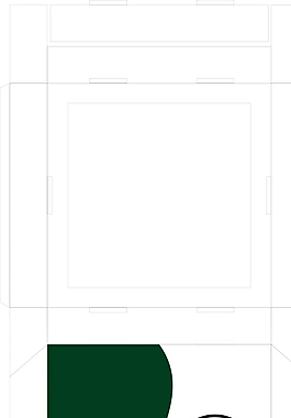 pz盒包装设计展开图图片