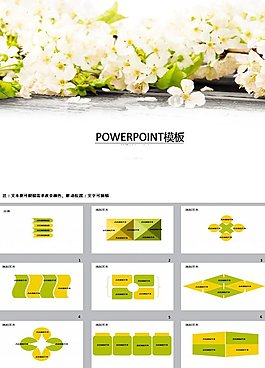 清新梨花PPT