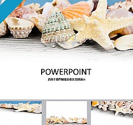 海洋时尚PPT