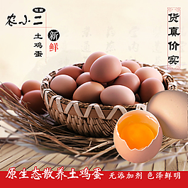 淘寶食品土雞蛋主圖