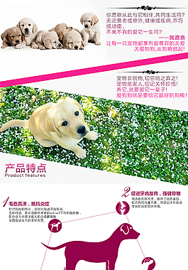 狗糧