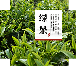 绿茶图片