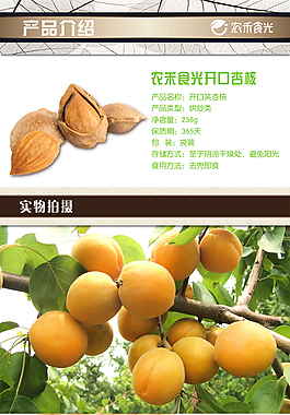 開口杏核