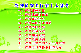 駕駛員安全行車十大禁令圖片