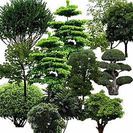 效果圖素材
