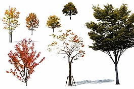 效果圖素材