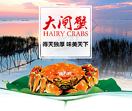 大閘蟹海報