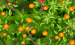 桔子果樹插圖圖片