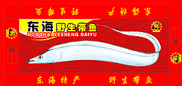 東海帶魚圖片