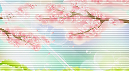 百葉移門圖片