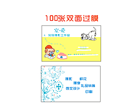 寵物攝影名片
