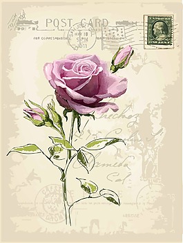 歐式信紙背景玫瑰花矢量圖