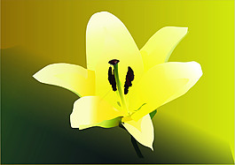花矢量圖