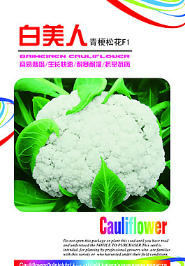 菜花种子包装袋