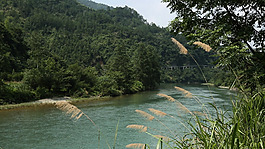 河岸河流