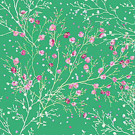 花鳥畫圖片