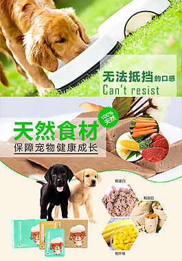 狗糧