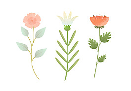 花朵設計圖