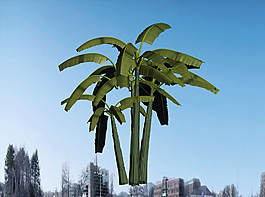 椰子樹3D模型圖片