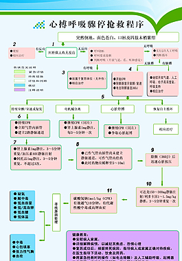 心搏呼吸驟停搶救程序圖片