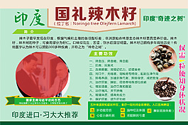 辣木籽印度特產國禮辣木籽