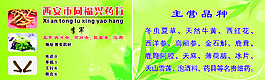 茶