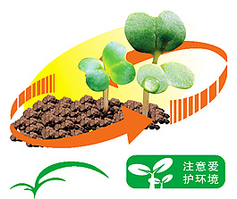 綠苗