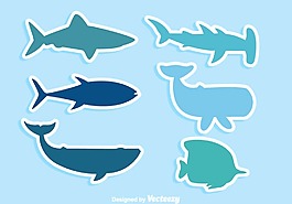 鯊魚設(shè)計圖