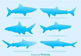 鯊魚設(shè)計圖
