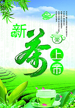 新茶上市